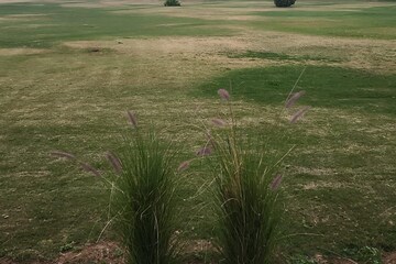  Plot For Sale in Wazirganj