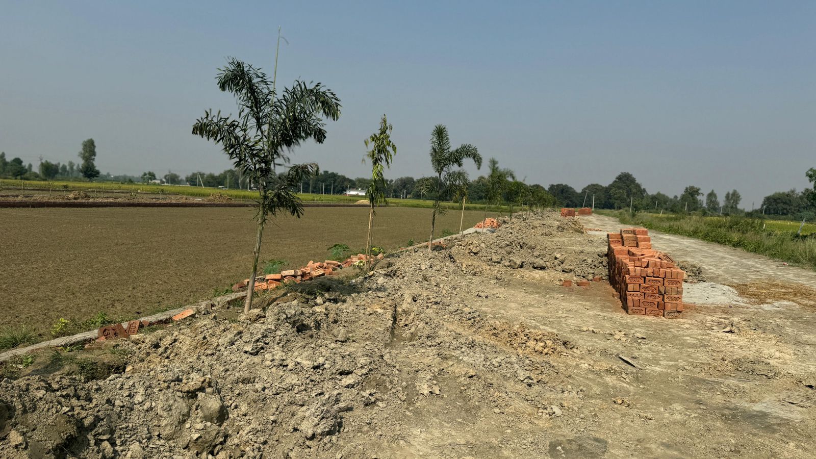 Plot For Sale in Asim Properties