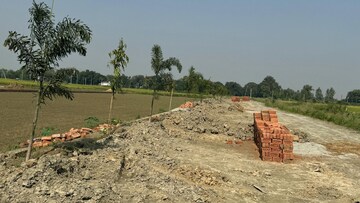 Plot Area in  Plot at Wazirganj – for Sale