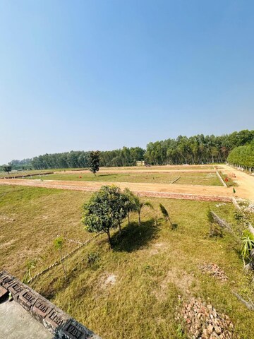 Plot Area in  Plot at Shimla Road – for Sale