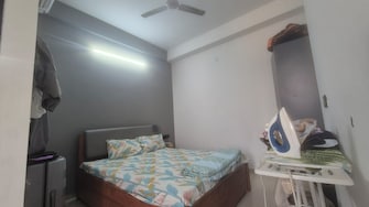 1 BHK Builder Floor For Rent in DLF Pink Town House Dlf City Phase 3 Gurgaon  8063264