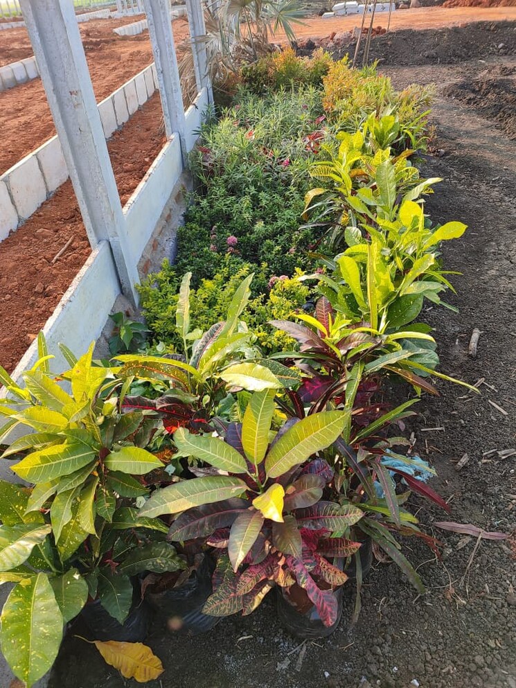 Garden, sri-bhumi-eeshaanya  184 Sq.Yd. Plot In Kankipadu Vijayawada 8063288