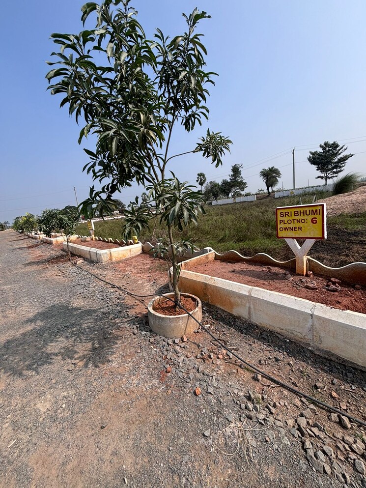 undefined, sri-dhruv  350 Sq.Yd. Plot In Sri Ramachandra Nagar Vijayawada 8063303