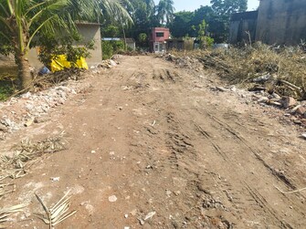 Plot For Resale in Metiabruz Kolkata  8063336