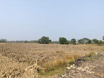 Plot For Resale in Mominpur Kolkata  8063348