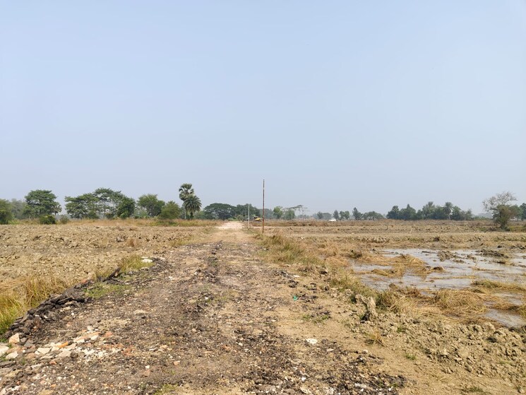 undefined, mominpur  2160 Sq.Ft. Plot In Mominpur Kolkata 8063348