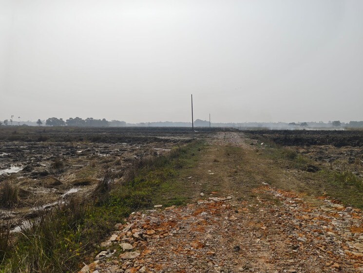 undefined, mominpur  2160 Sq.Ft. Plot In Mominpur Kolkata 8063348