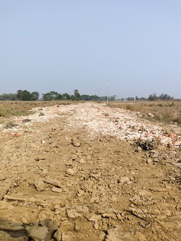 Plot Area in  Plot at Mominpur – for Sale