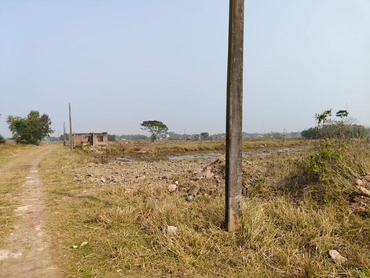 undefined, mominpur  2160 Sq.Ft. Plot In Mominpur Kolkata 8063348