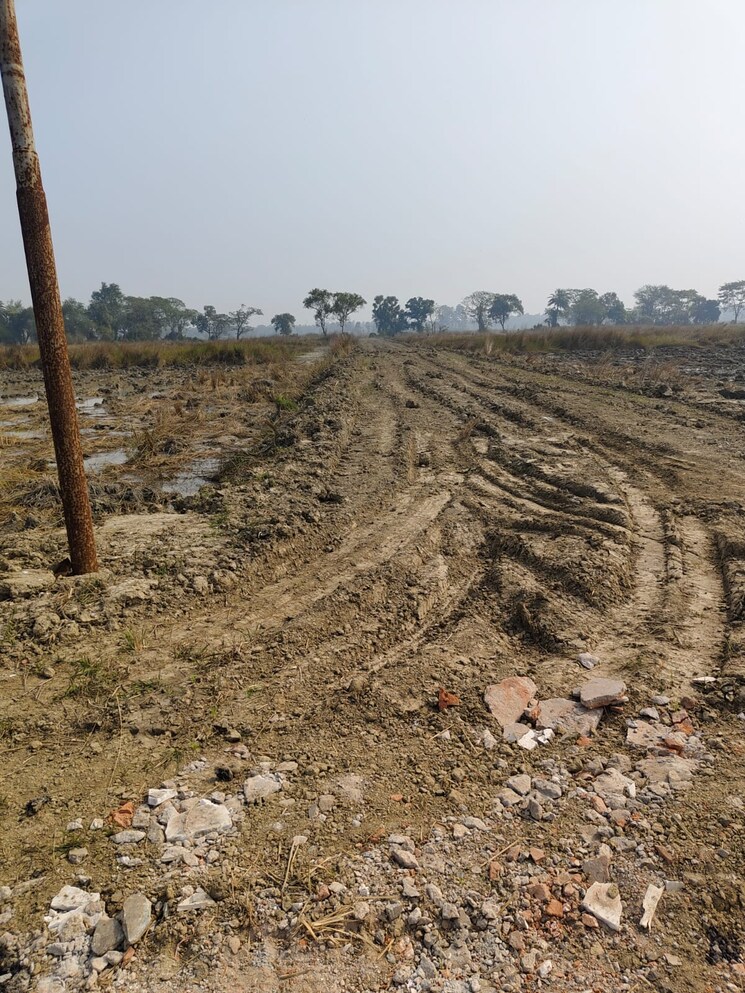 undefined, mominpur  2160 Sq.Ft. Plot In Mominpur Kolkata 8063348