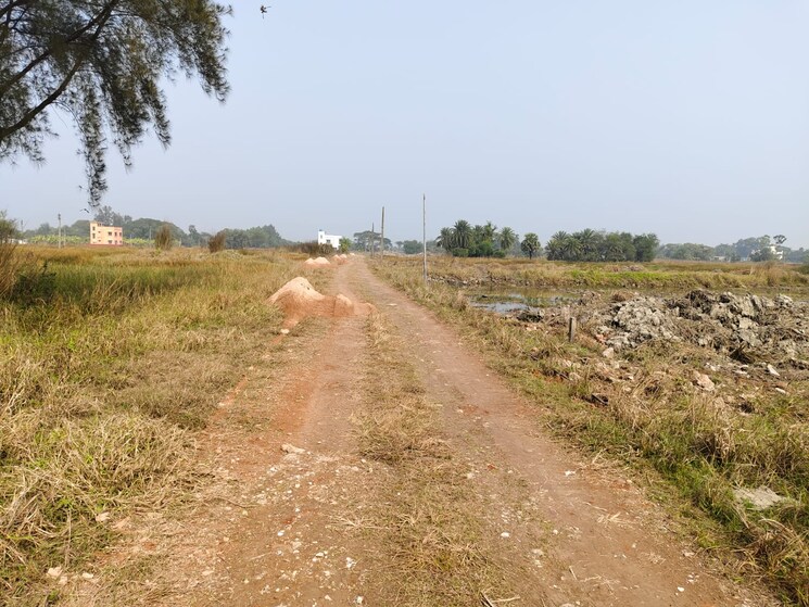 undefined, mominpur  2160 Sq.Ft. Plot In Mominpur Kolkata 8063348