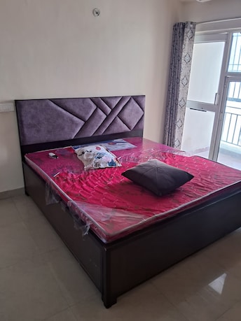 2 BHK Apartment For Rent in Aims Golf City Sector 75 Noida  8063471