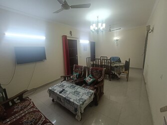 2 BHK Builder Floor For Rent in SS Southend Floors South City 2 Gurgaon  8063574