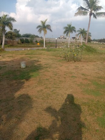 Plot For Resale in Shriram Malhaar Sarjapur Bangalore  8063595