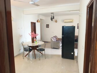 3 BHK Apartment For Rent in Maya Garden City Lohgarh Zirakpur  8063619