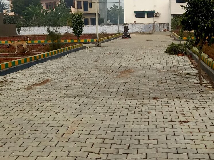 Exterior View, india-expo-mart  80 Sq.Yd. Plot In Knowledge Park Ii Greater Noida Greater Noida 8063669