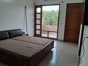 4 BHK Independent House For Rent in Sector 8 Chandigarh  8063704