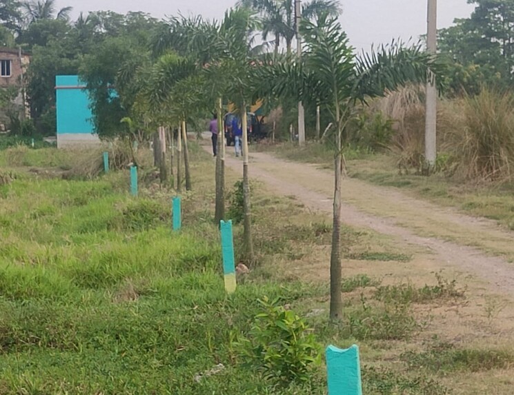 Garden, joka  2160 Sq.Ft. Plot In Joka Kolkata 8063733