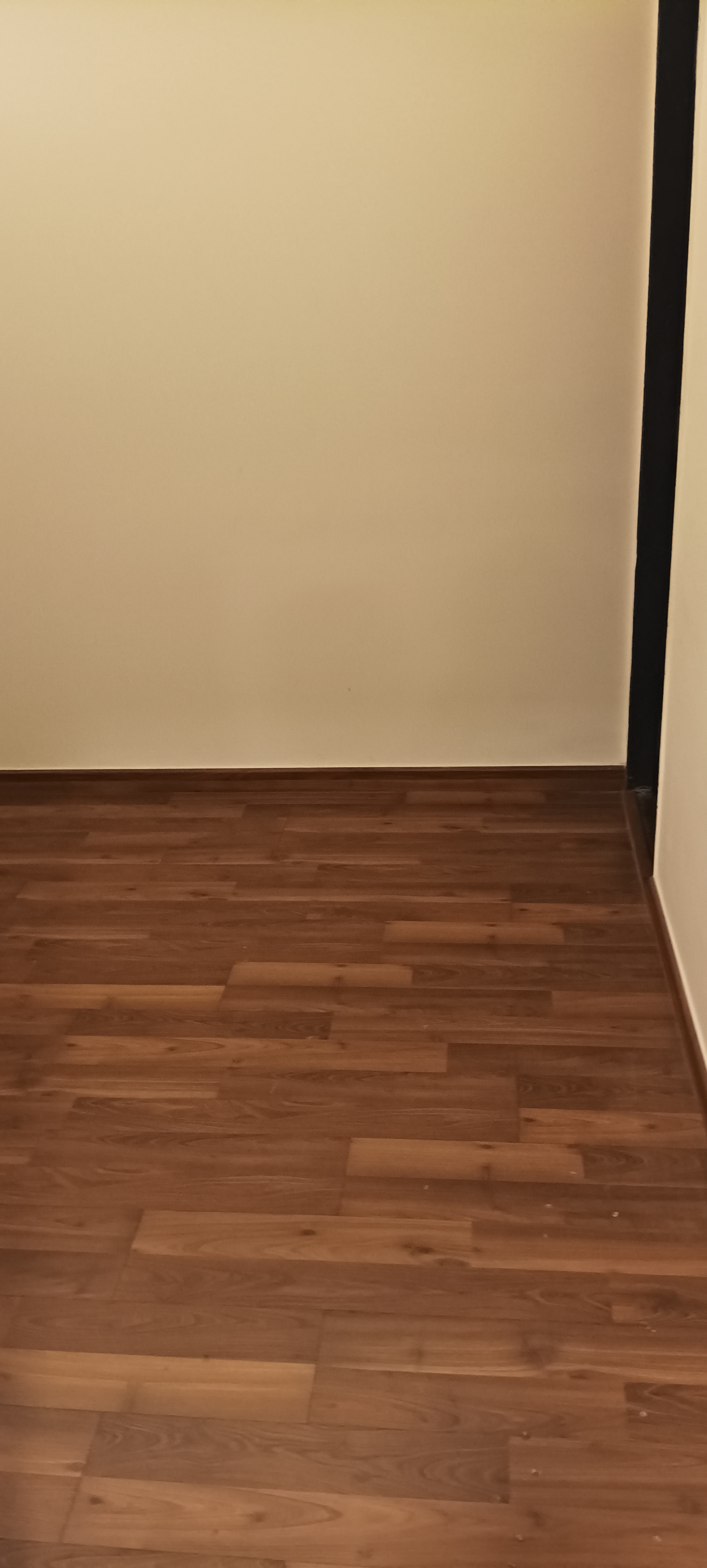 1 BHK Apartment For Sale in JP North