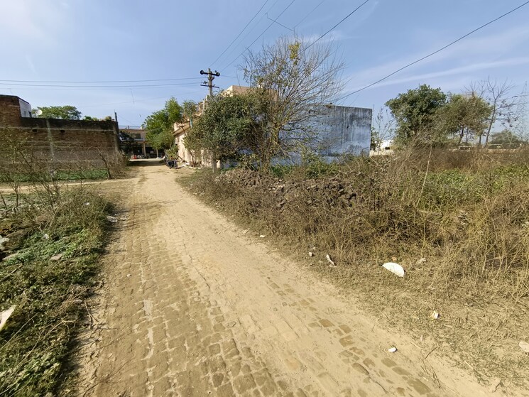 undefined, mubarakpur  1000 Sq.Ft. Plot In Mubarakpur Lucknow 8064001