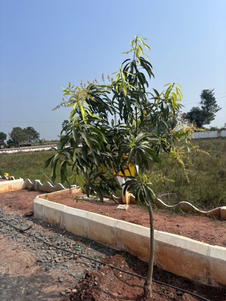 undefined, sri-bhumi-eeshaanya  600 Sq.Yd. Plot In Kankipadu Vijayawada 8064285