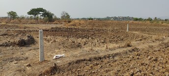 Plot For Resale in Palaspe Phata Navi Mumbai  8064437