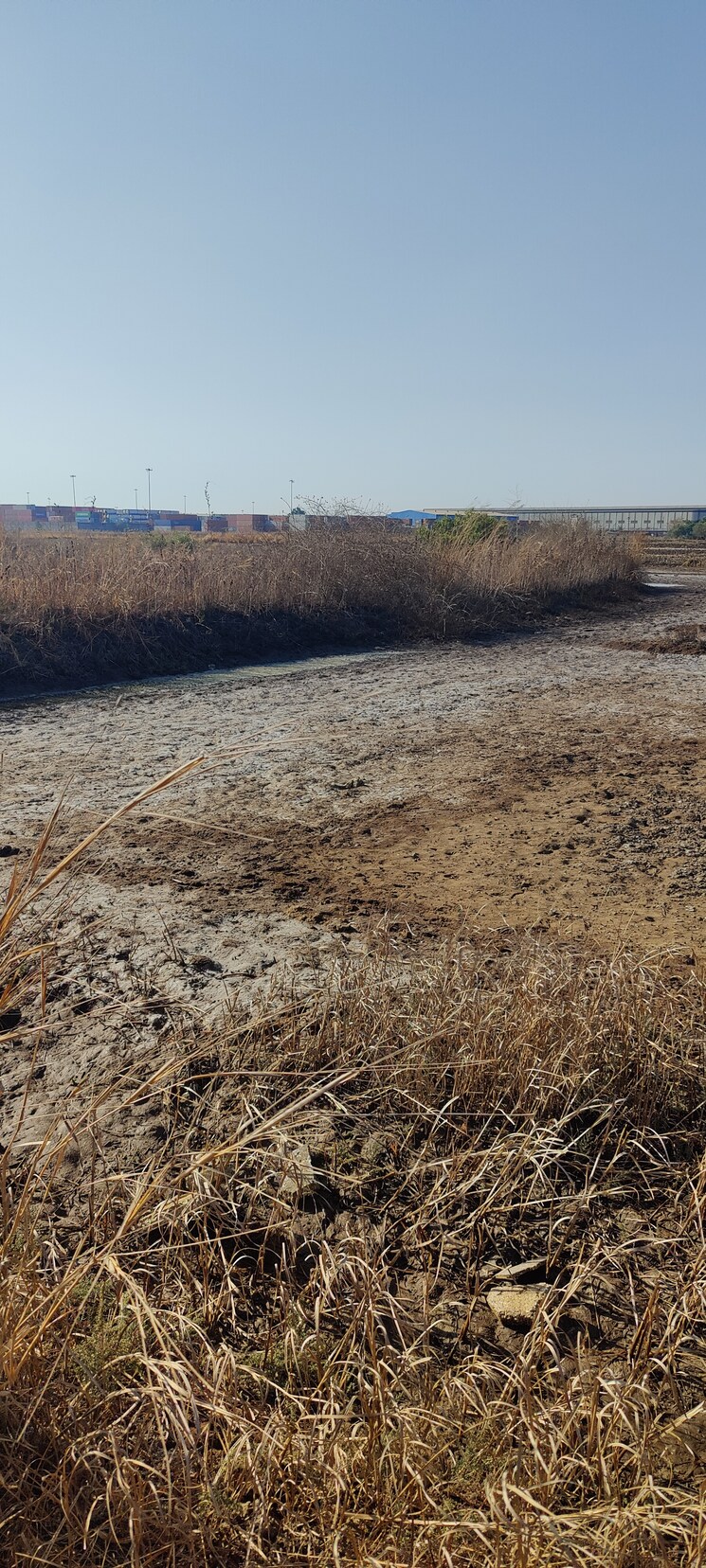 undefined, palaspe phata  1089 Sq.Ft. Plot In Palaspe Phata Navi Mumbai 8064437