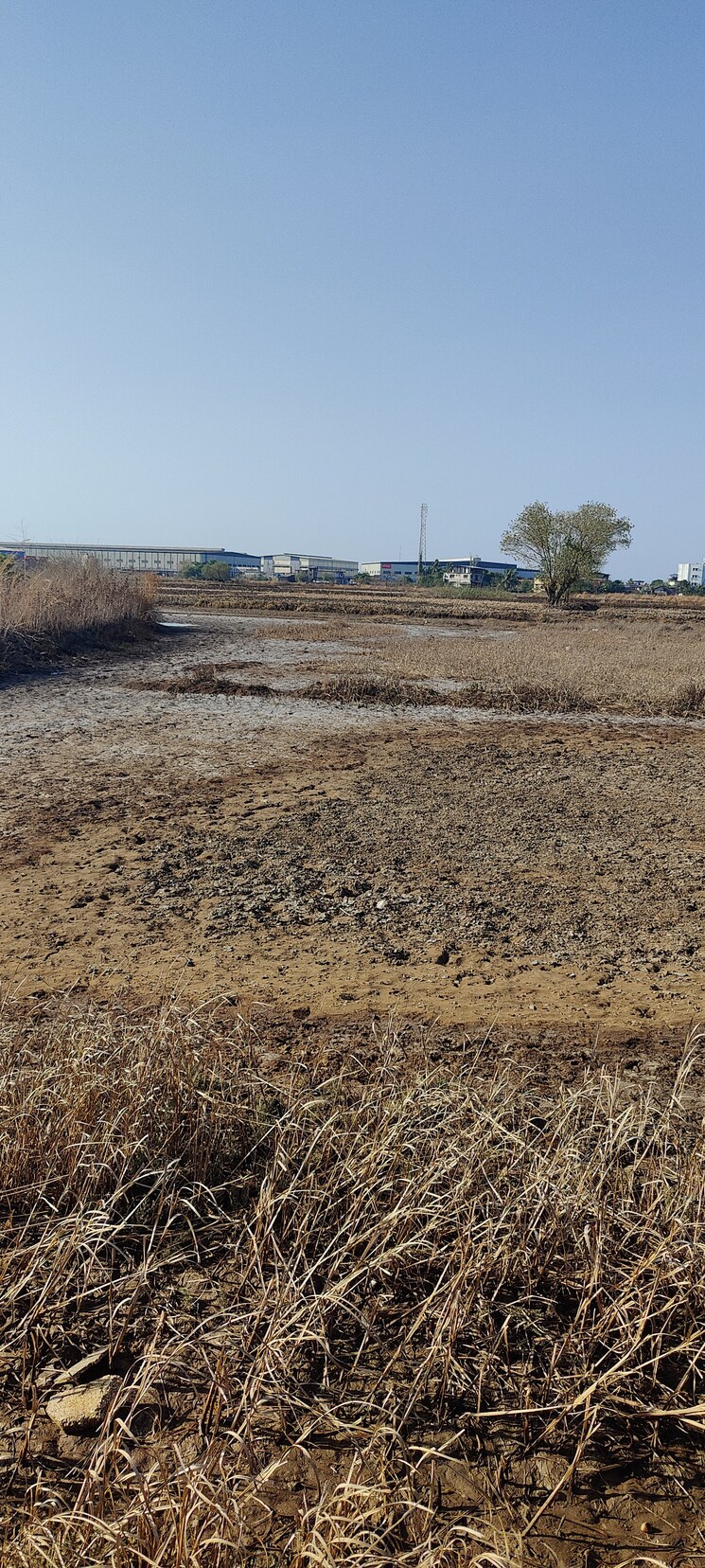 undefined, palaspe phata  1089 Sq.Ft. Plot In Palaspe Phata Navi Mumbai 8064437