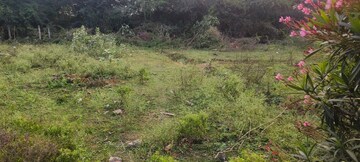 Plot For Resale in Vizag Airport Vizag  8064434