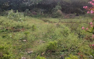 Plot For Sale in Vizag Airport