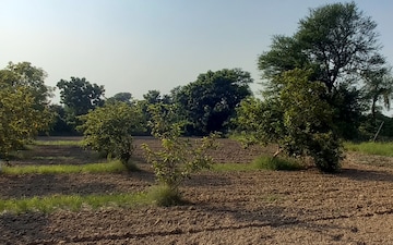 Land For Sale in Gota
