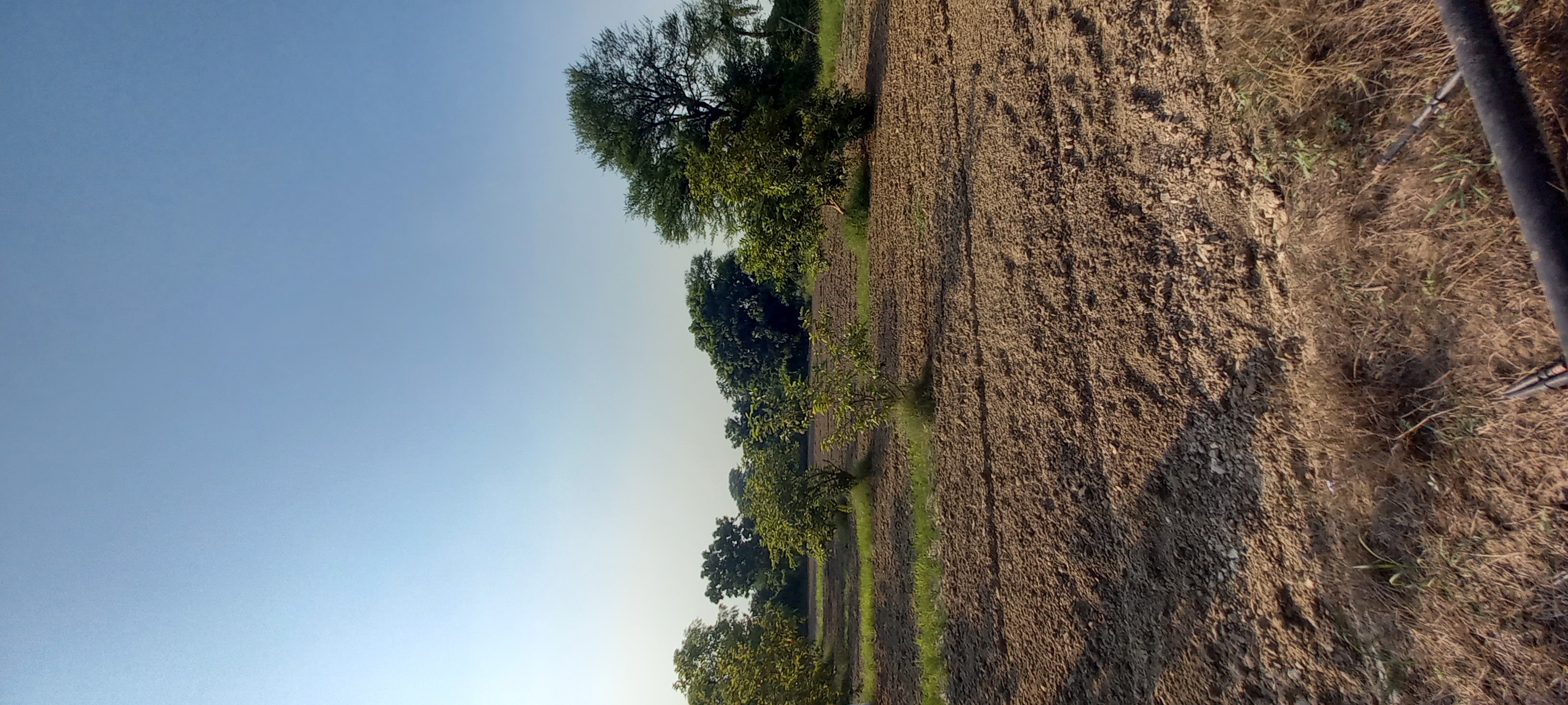 Land For Sale in Gota.