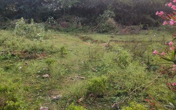 Plot For Sale in Vizag Airport