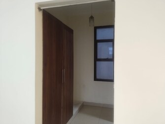 3 BHK Apartment For Rent in Orchid Gardens Sector 54 Gurgaon  8064454