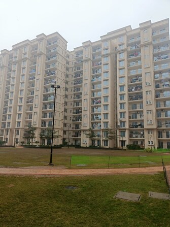 2 BHK Apartment For Resale in Signature The Serenas Sohna Sector 36 Gurgaon  8064483