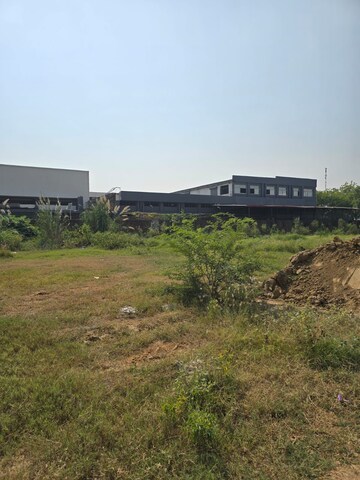 Plot Area in  Land at Pirthla – for Sale