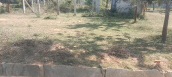 Plot For Resale in Maralakunte Bangalore  8064569