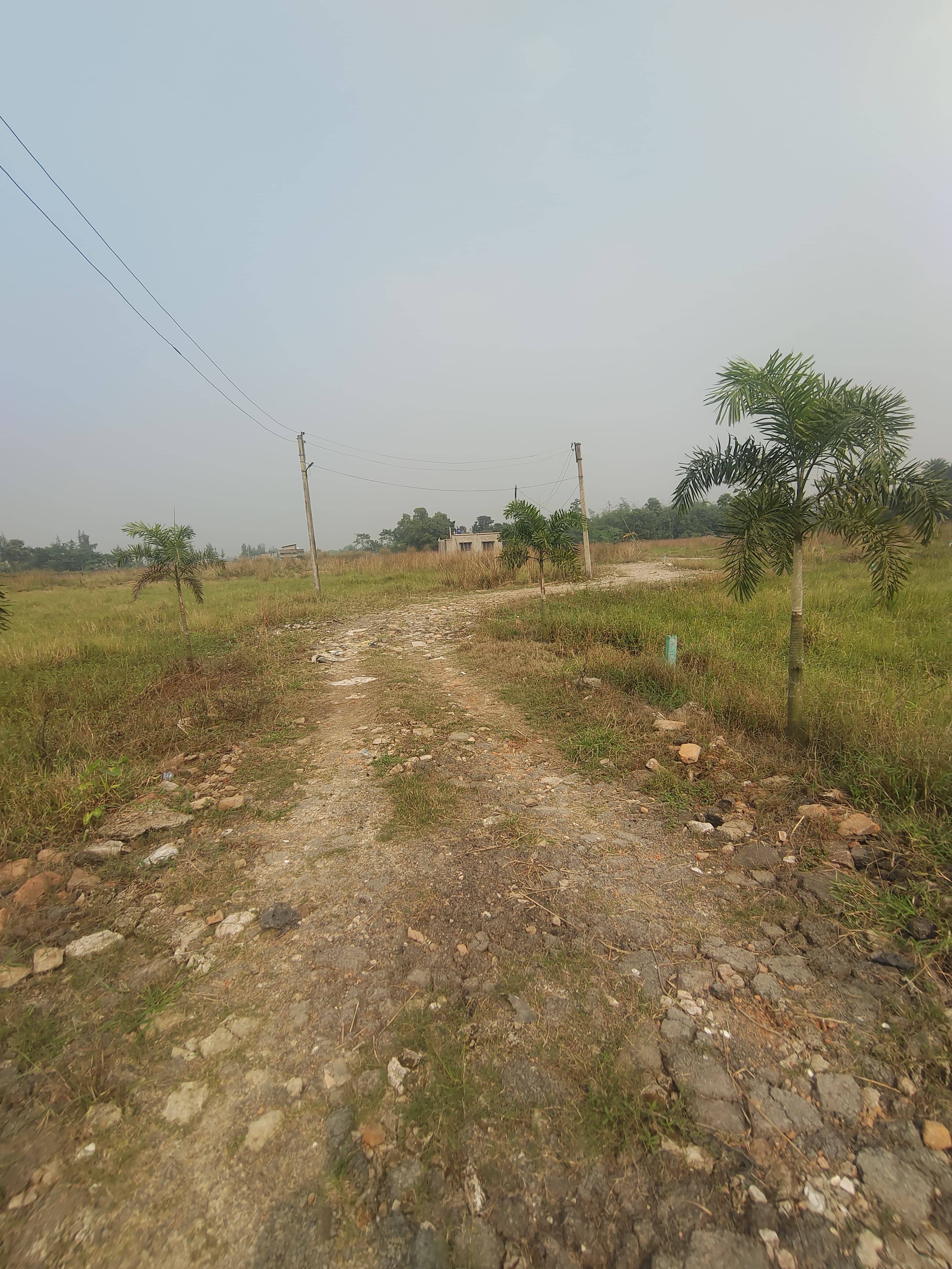 Plot For Sale in Green Plaza 