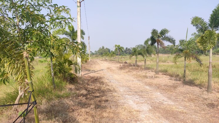 undefined, joka  4320 Sq.Ft. Plot In Joka Kolkata 8064708