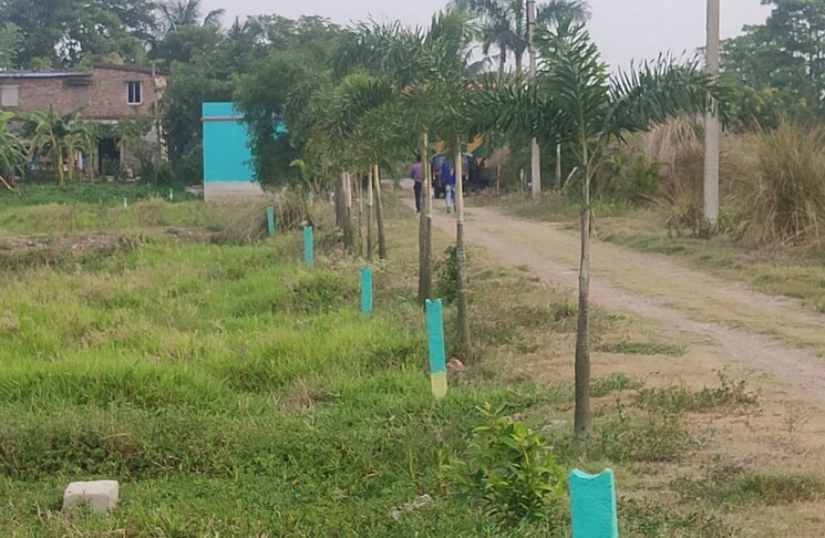 Garden, joka  4320 Sq.Ft. Plot In Joka Kolkata 8064724