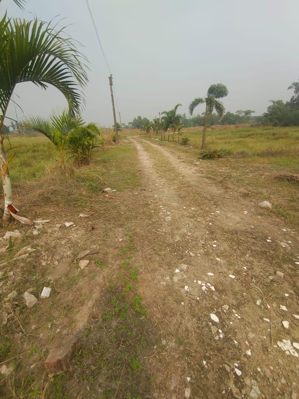 Plot For Sale in Green Plaza 