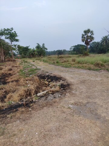 Plot Area in  Plot at Joka – for Sale