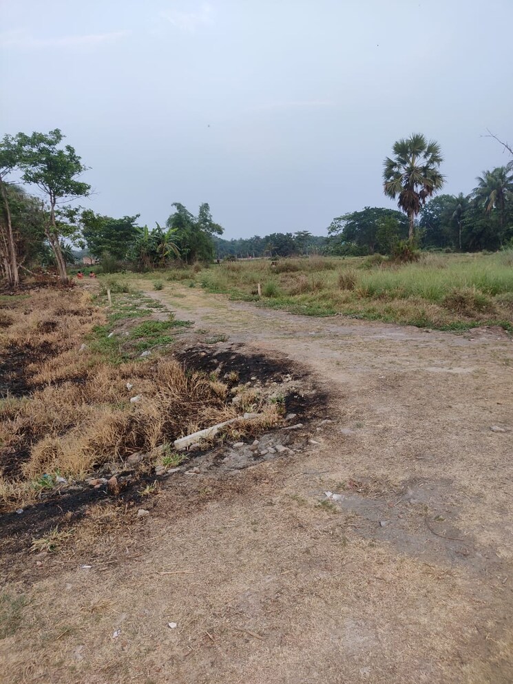 undefined, joka  2880 Sq.Ft. Plot In Joka Kolkata 8064815