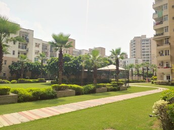 3 BHK Apartment For Rent in Eldeco Green Meadows Gn Sector pi Greater Noida  8065097