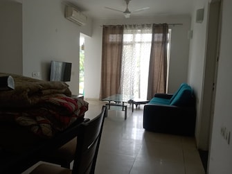 3 BHK Apartment For Rent in Jaypee Greens Pavilion Court Sector 128 Noida  8065263