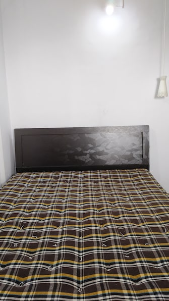 1 BHK Apartment For Rent in Bhandari Nea Sus Pune  8065427