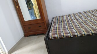 1 BHK Apartment For Rent in Bhandari Nea Sus Pune  8065427