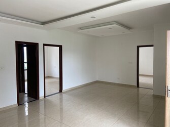 3 BHK Apartment For Resale in Peer Mucchalla Zirakpur  8065431