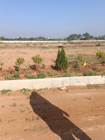 Plot For Resale in Thakurs Nivas Patancheru Hyderabad  8065555