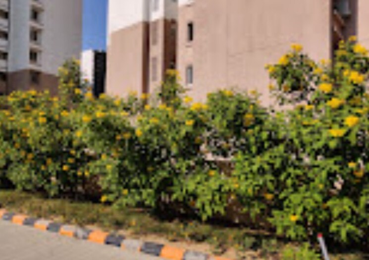 Garden, ramprastha-city-the-edge-towers 3 Bedroom 1770 Sq.Ft. Apartment In Sector 37d Gurgaon 8065622